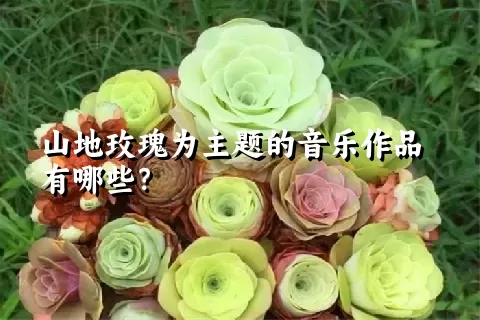 山地玫瑰为主题的音乐作品有哪些？