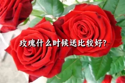 玫瑰什么时候送比较好？