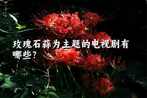 玫瑰石蒜为主题的电视剧有哪些？