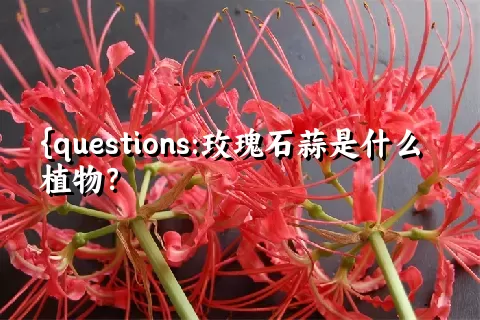 玫瑰石蒜是什么植物？