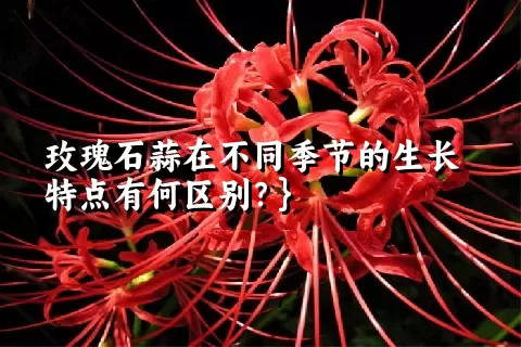 玫瑰石蒜在不同季节的生长特点有何区别？}