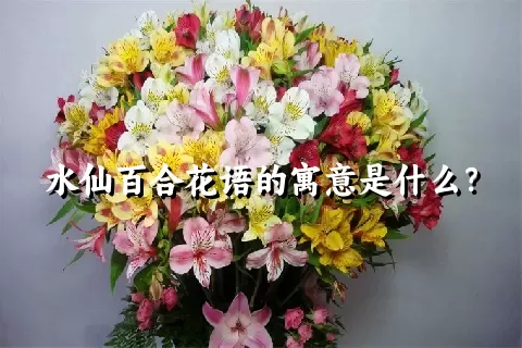 水仙百合花语的寓意是什么？