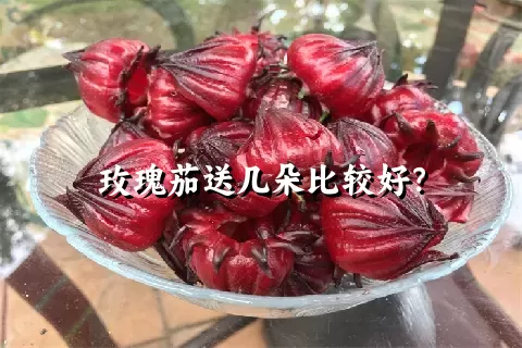 玫瑰茄送几朵比较好？