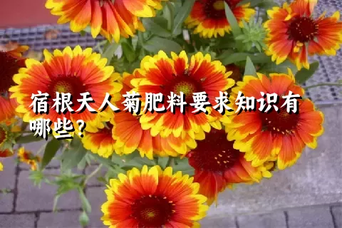 宿根天人菊肥料要求知识有哪些？