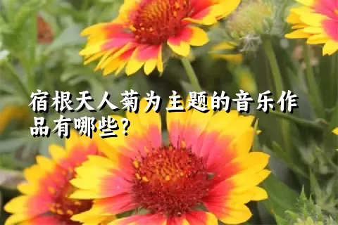 宿根天人菊为主题的音乐作品有哪些？