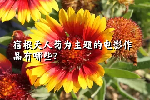 宿根天人菊为主题的电影作品有哪些？