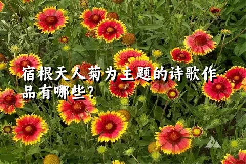宿根天人菊为主题的诗歌作品有哪些？