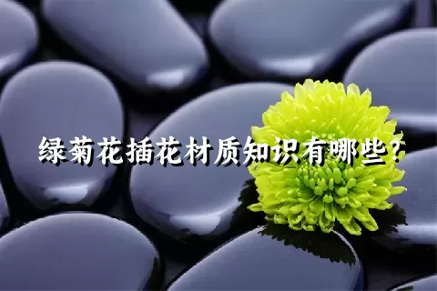 绿菊花插花材质知识有哪些？