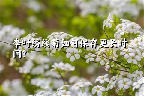 李叶绣线菊如何保存更长时间？