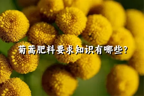 菊蒿肥料要求知识有哪些？