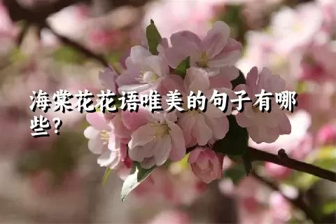 海棠花花语唯美的句子有哪些？