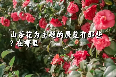 山茶花为主题的展览有那些？在哪里
