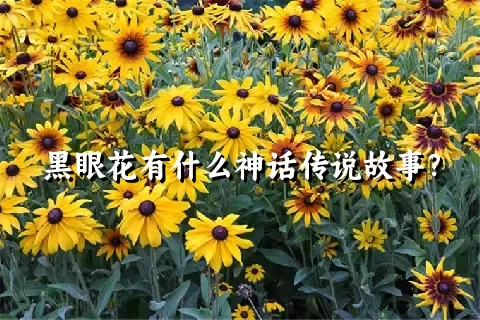 黑眼花有什么神话传说故事？