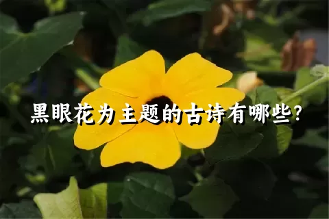 黑眼花为主题的古诗有哪些？