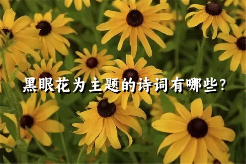 黑眼花为主题的诗词有哪些？