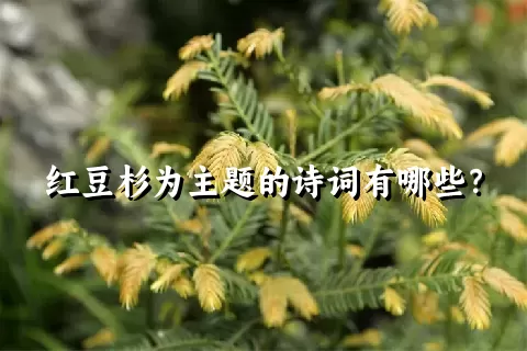 红豆杉为主题的诗词有哪些？