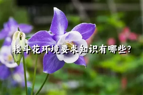 耧斗花环境要求知识有哪些？