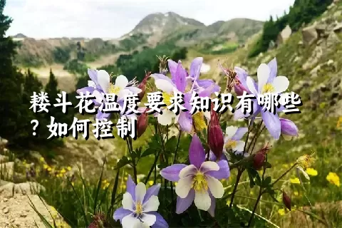 耧斗花温度要求知识有哪些？如何控制