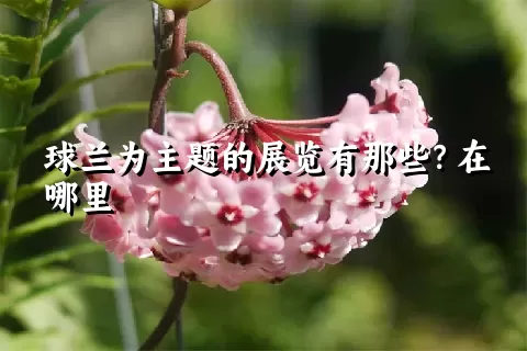 球兰为主题的展览有那些？在哪里