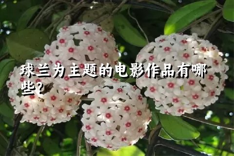 球兰为主题的电影作品有哪些？
