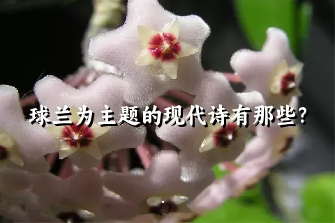 球兰为主题的现代诗有那些？