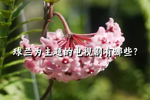 球兰为主题的电视剧有哪些？