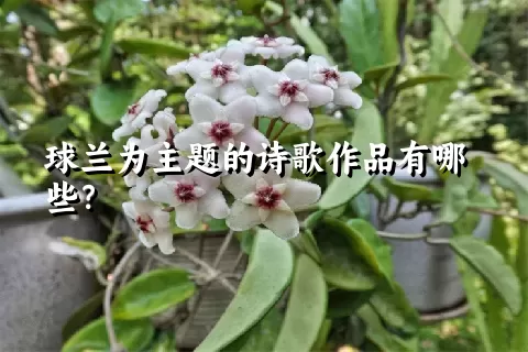 球兰为主题的诗歌作品有哪些？
