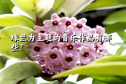 球兰为主题的音乐作品有哪些？
