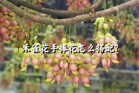 禾雀花手捧花怎么搭配？