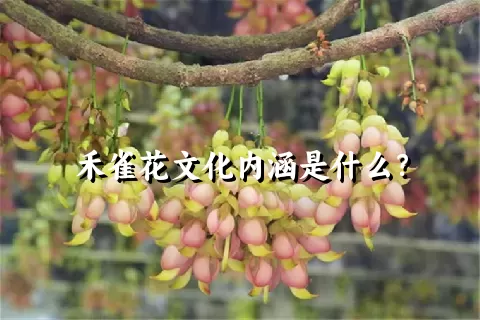 禾雀花文化内涵是什么？