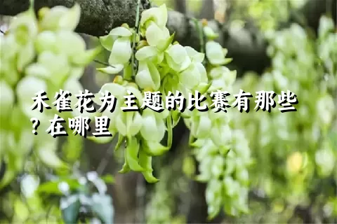 禾雀花为主题的比赛有那些？在哪里