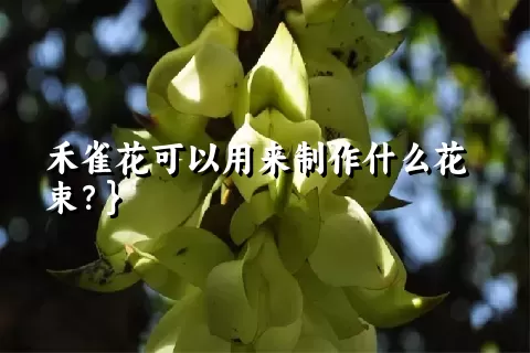 禾雀花可以用来制作什么花束？}