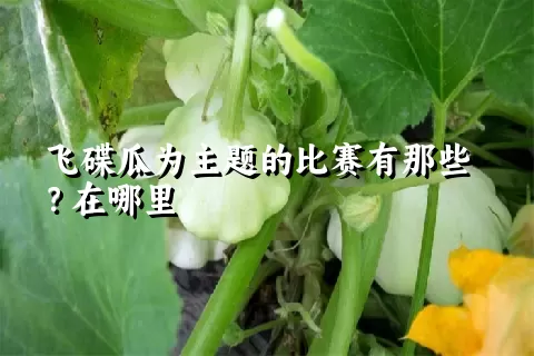 飞碟瓜为主题的比赛有那些？在哪里