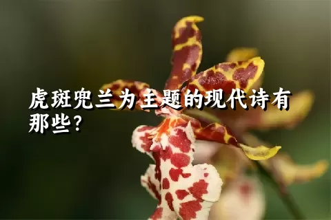 虎斑兜兰为主题的现代诗有那些？
