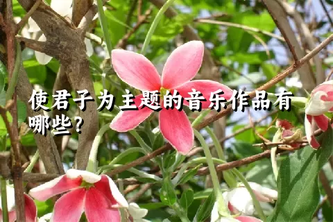 使君子为主题的音乐作品有哪些？