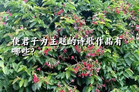 使君子为主题的诗歌作品有哪些？