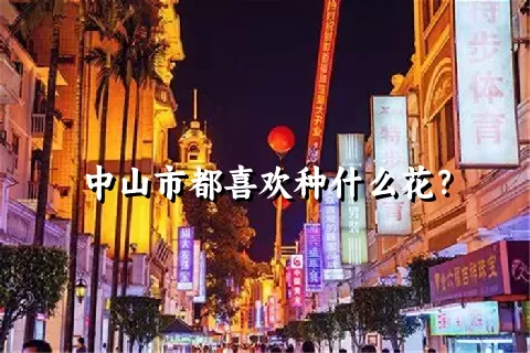 中山市都喜欢种什么花？