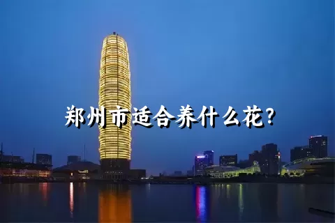 郑州市适合养什么花？