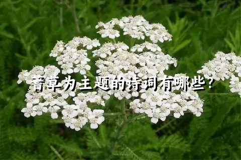蓍草为主题的诗词有哪些？