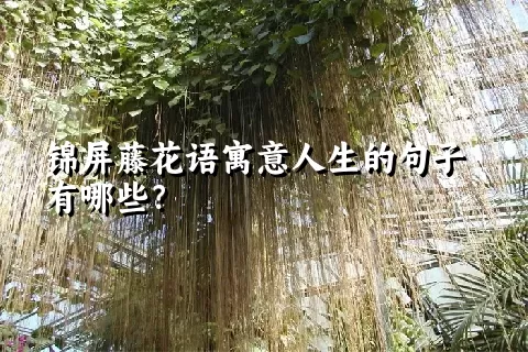 锦屏藤花语寓意人生的句子有哪些？
