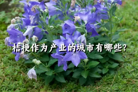 桔梗作为产业的城市有哪些？