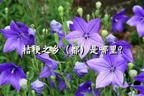 桔梗之乡（都）是哪里？