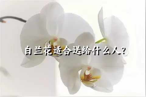 白兰花适合送给什么人？