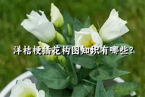 洋桔梗插花构图知识有哪些？