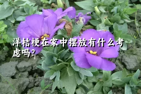 洋桔梗在家中摆放有什么考虑吗？