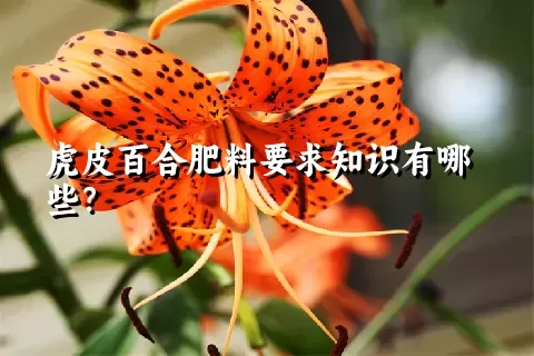 虎皮百合肥料要求知识有哪些？