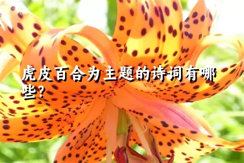 虎皮百合为主题的诗词有哪些？