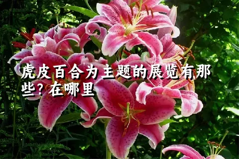 虎皮百合为主题的展览有那些？在哪里