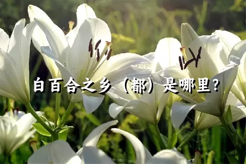白百合之乡（都）是哪里？