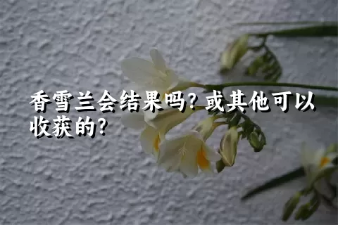 香雪兰会结果吗？或其他可以收获的？